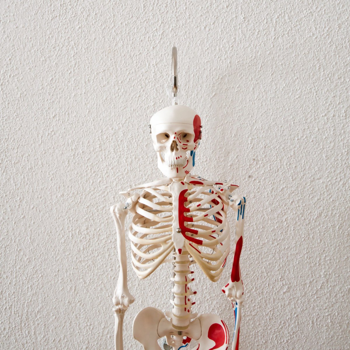 Physio Solothurn – Moderne Physiotherapiepraxis für ganzheitliche Behandlung und Schmerzlinderung in Solothurn